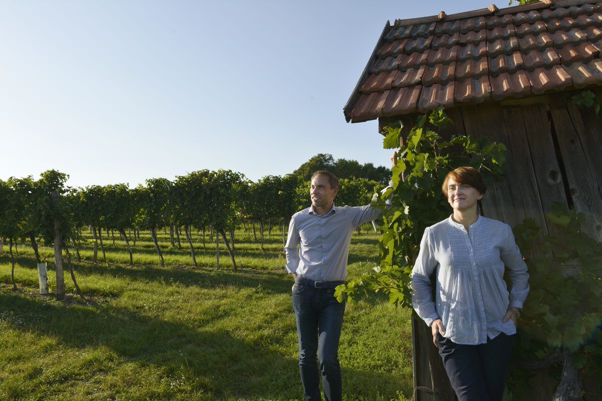 Weingut Josef Ehmoser: Bild: Steve Haider