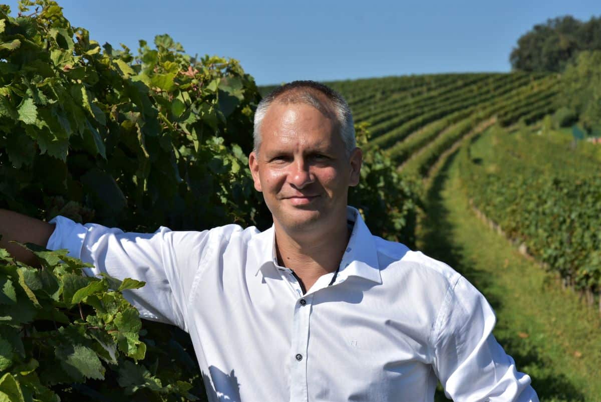 Weine am Weingut Hufnagel genießen - mit vollem Einsatz für beste Qualität