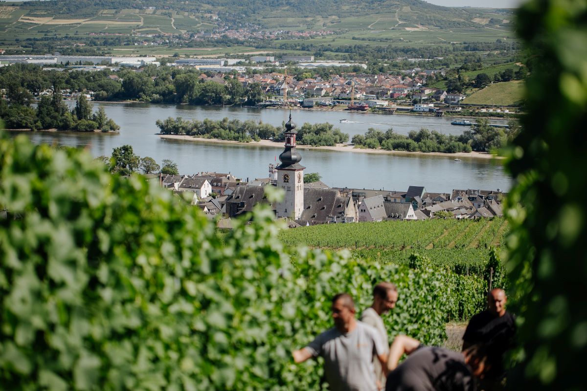 Bild: Rheingau Copyright: Lucie Greiner - Medienagenten