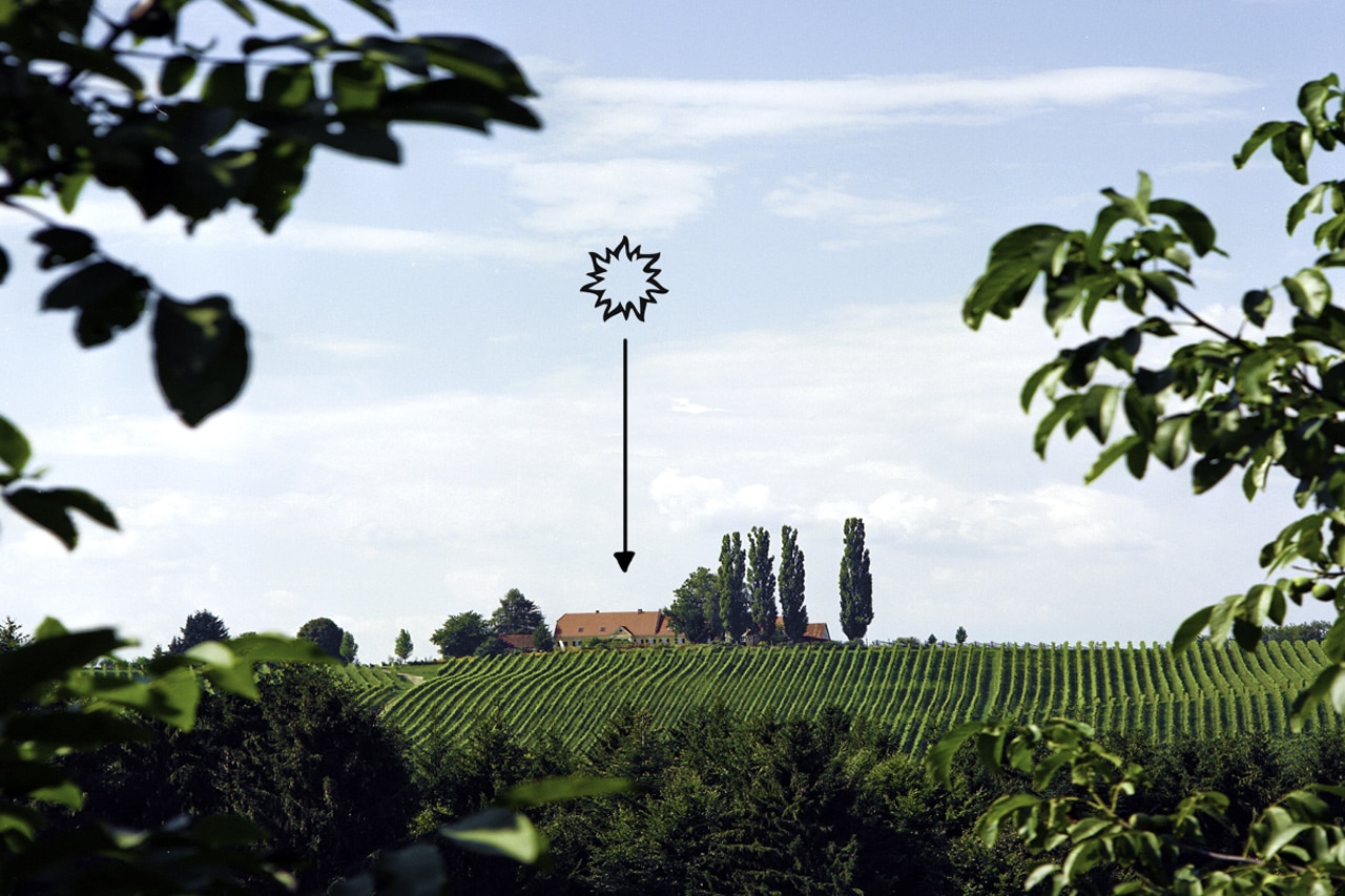 Bild Copyright: Nikolaus Ladenhauf