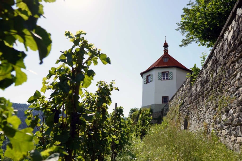 Schlössli am Rosenberg