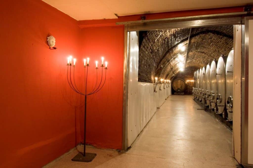 Copyright: Weingut Setzer