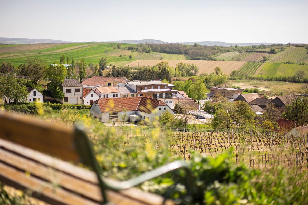 Bild: Stefanie Winter