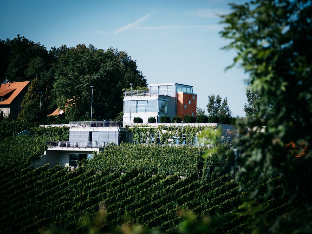 Copyrright: Pertramer Bild: Weingut Tement
