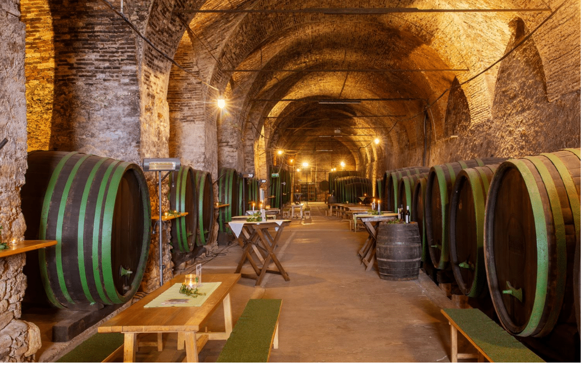 Weinkeller im Schloss Seggau genießen bei der tollen Wein-Veranstaltung am 18. November 2023 Copyright: Janetz Kotar