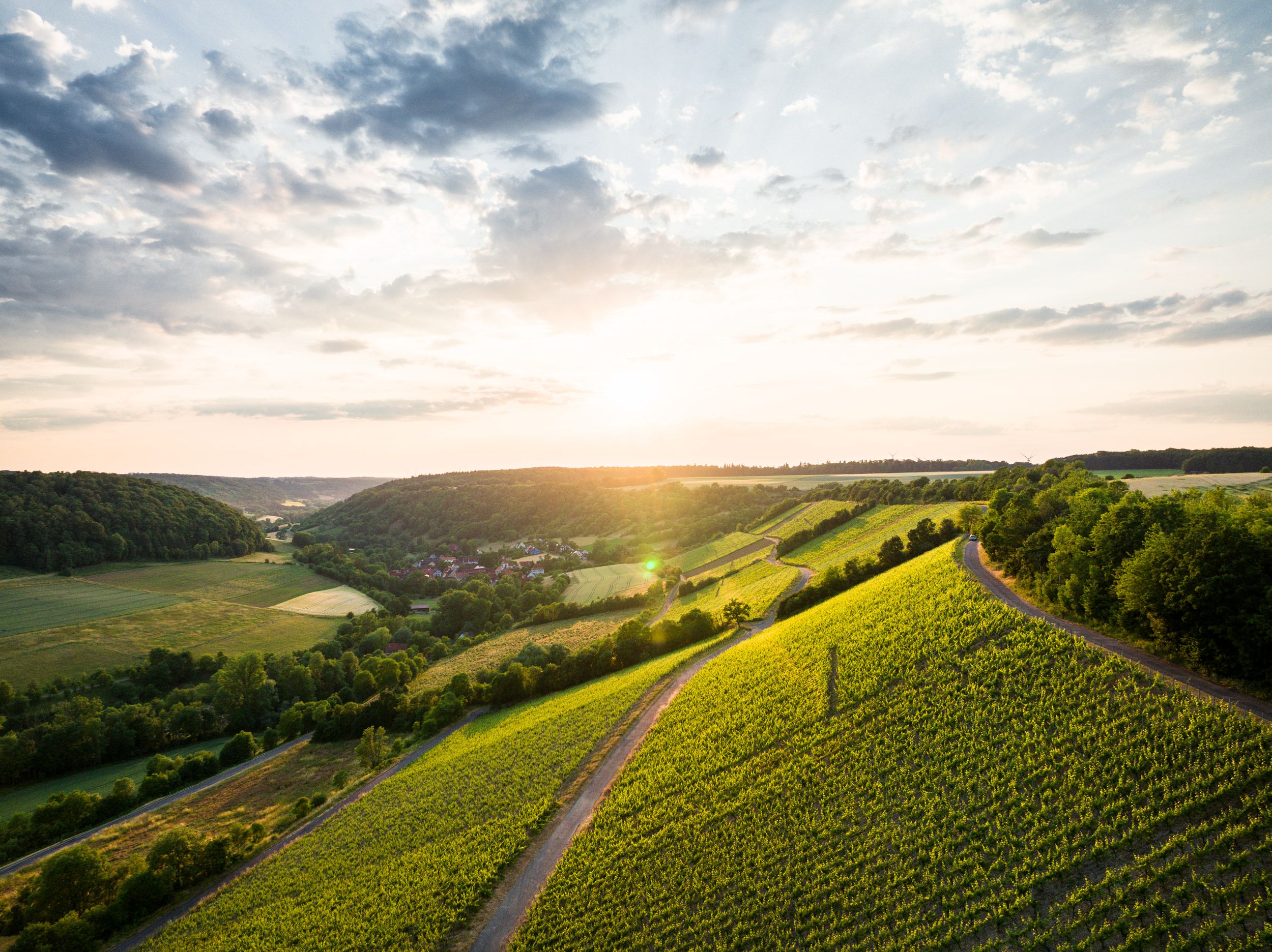 frogfisher_photographer