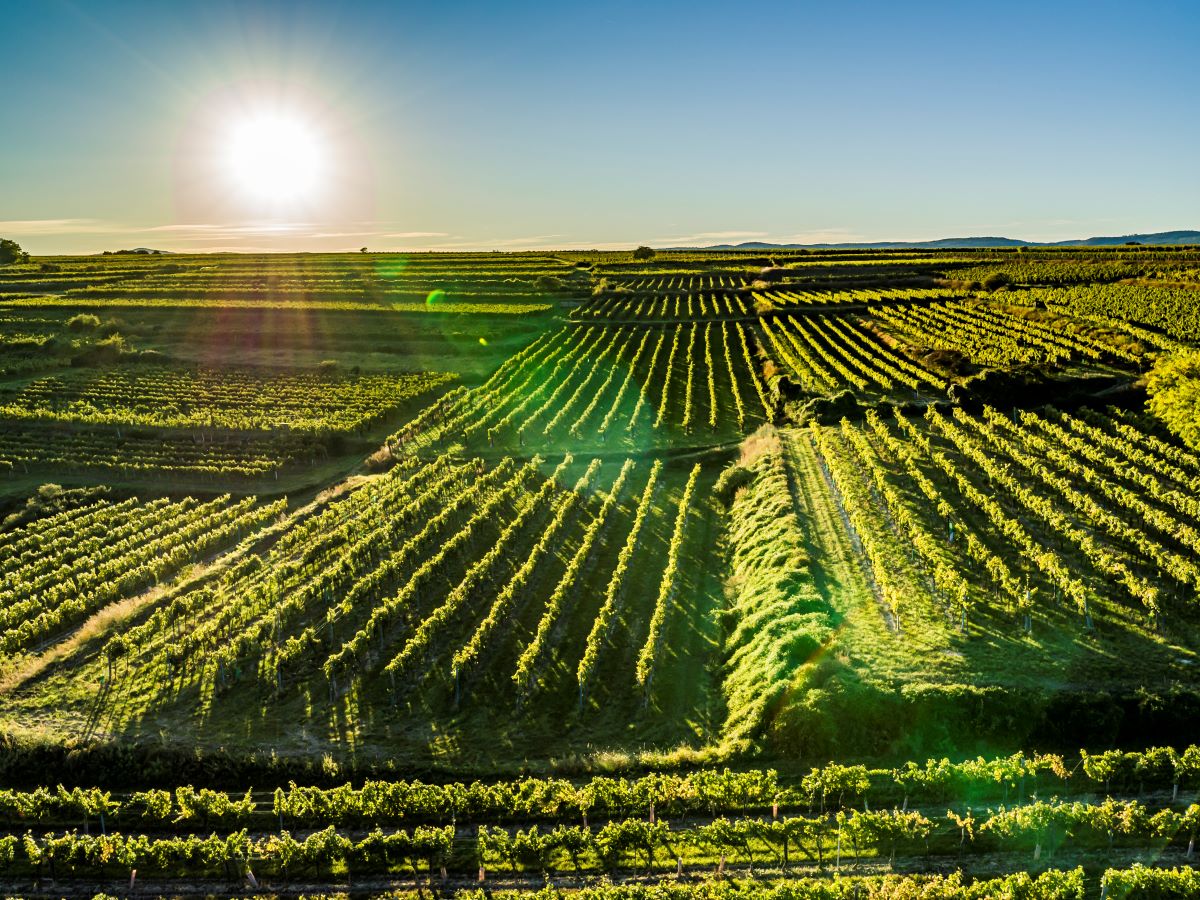 Bild Copyright: Robert Herbst