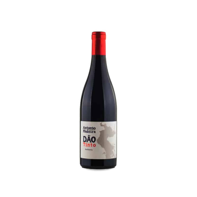 António Madeira Tinto 2021