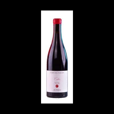 Cubos Prieto Picudo 2021