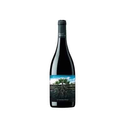La Garnacha Salvaje del Moncayo 2022
