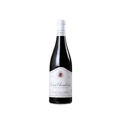 Thierry Mortet Gevrey-Chambertin Vigne Belle 2021