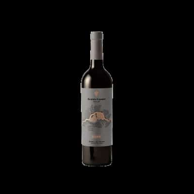 Dominio Fournier Reserva 2020