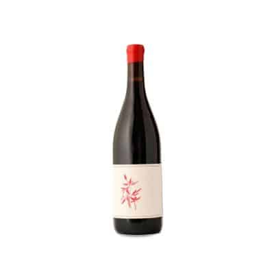 Arnot-Roberts Heaven and Earth Pinot Noir 2023