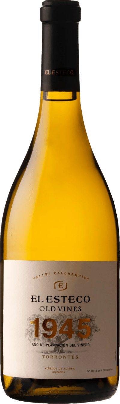 El Esteco Old Vines Torrontes 2023