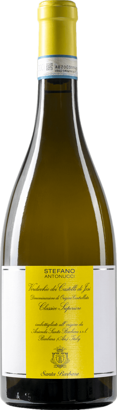 Santa Barbara Stefano Antonucci Verdicchio dei Castelli di Jesi Classico Superiore 2022