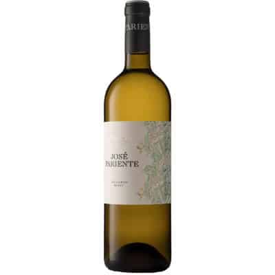 Jose Pariente Sauvignon Blanc DO Rueda