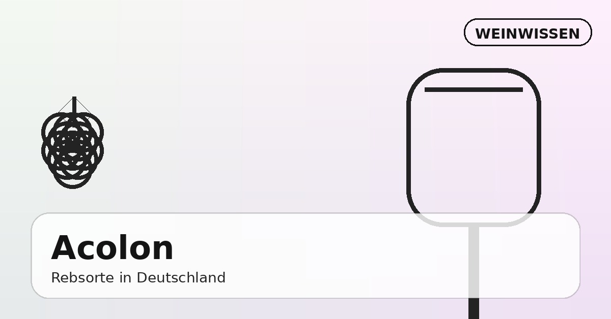 Acolon Rebsorte – Trauben und Wein im deutschen Weinberg