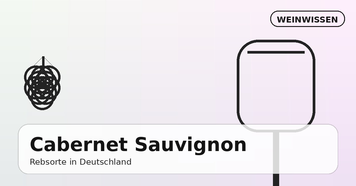 Cabernet Sauvignon Rebsorte – Trauben und Wein im deutschen Weinberg