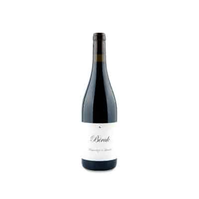 Aseginolaza & Leunda Birak 2024