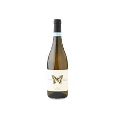 Ausonia Abruzzo Pecorino Machaon 2023