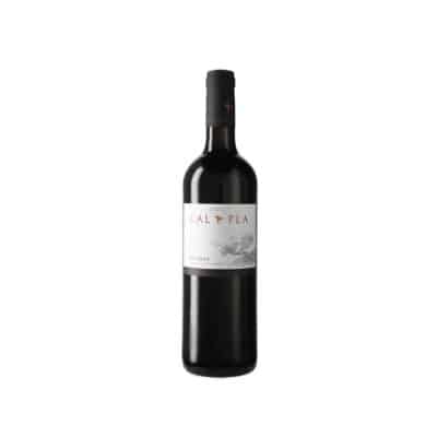 Cal Pla Negre 2022