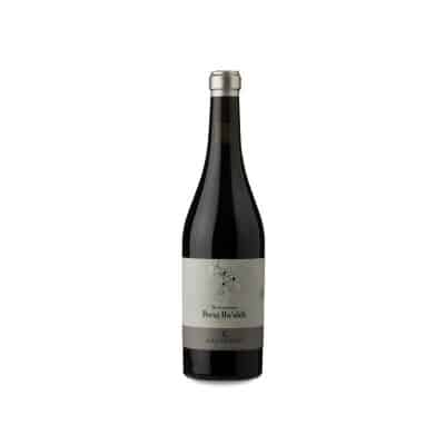 Capçanes Peraj Ha'abib Pinot Noir 2023