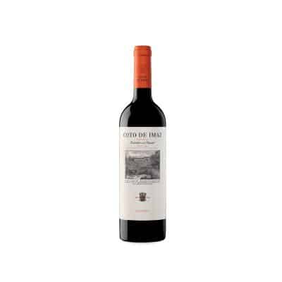 Coto de Imaz Reserva 2021