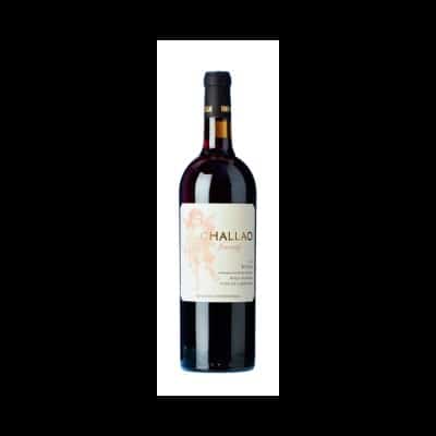 Dominio del Challao Garnacha 2020