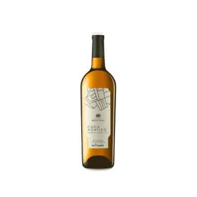 Finca Montico 2024