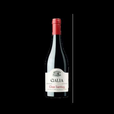 Galia Clos Santuy 2022