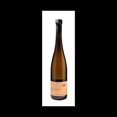 Julien Meyer Zellberg 2023