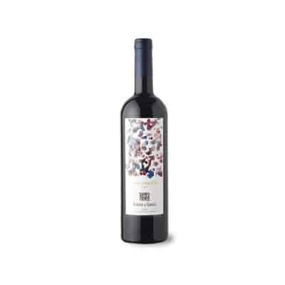 Viña Coqueta Reserva 2018