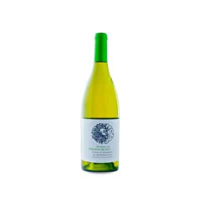 Waterkloof Seriously Cool Chenin Blanc 2025