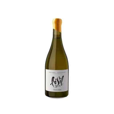 Zuccardi Fósil 2023