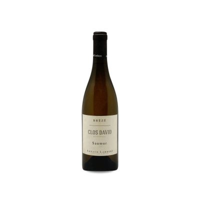 Arnaud Lambert Clos David 2023