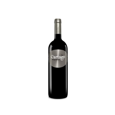 Bodegas y Viñedos San Román Cartago Paraje del Pozo 2021