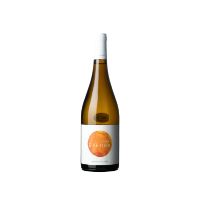 Exedra Amphora Blanc 2023
