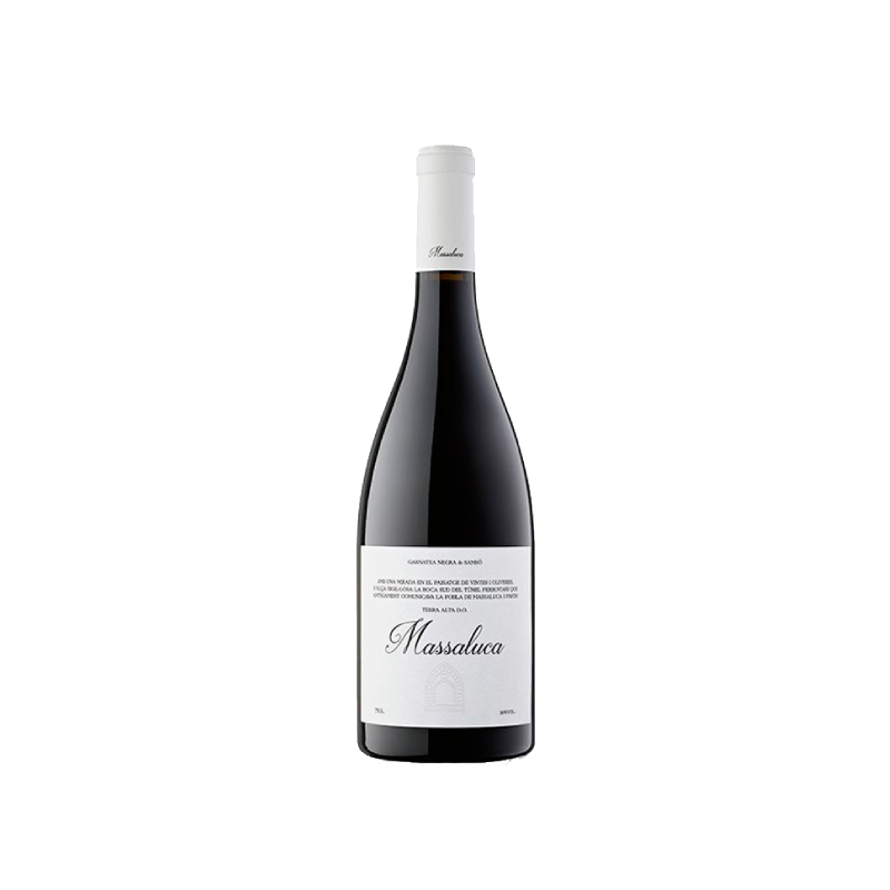 Massaluca Negre 2024