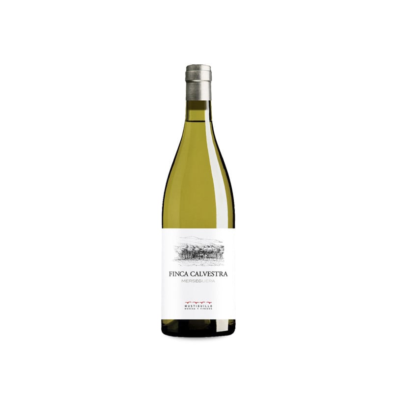 Finca Calvestra 2024