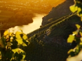 Weingut Schmitges – Moselweine – Deutschland