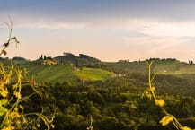 Weinregionen in Österreich – Weinbau Gebiete