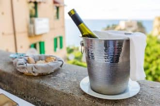 Wein richtig kühlen im Sommer: Kühlschrank, Weinkühler oder Eisbad?