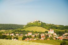 Weingut Stadler im Weinviertel – Wo Tradition den Weitblick trifft